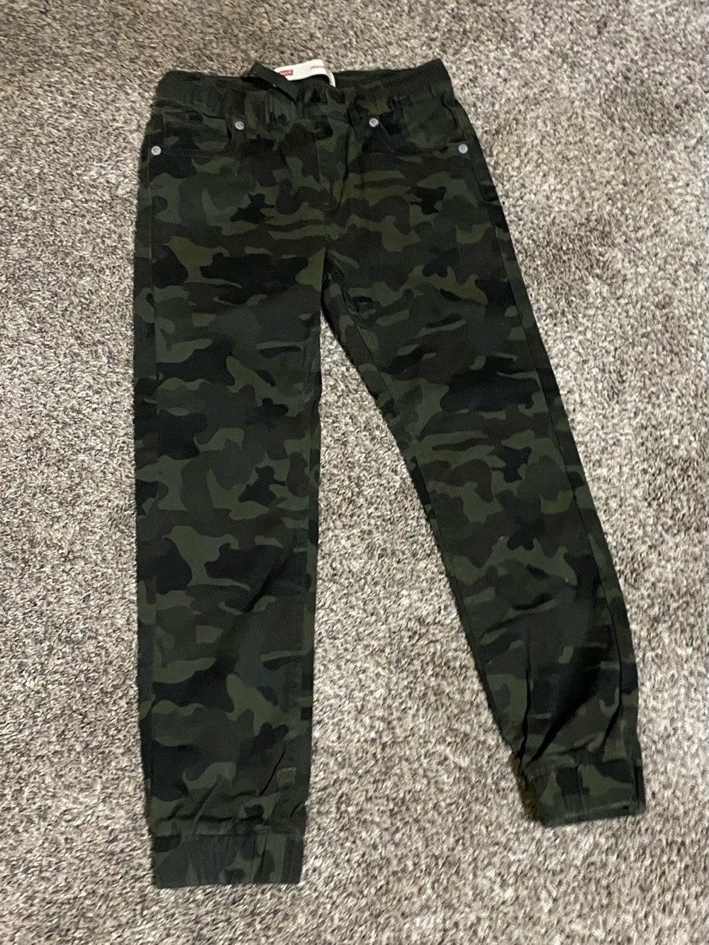 Levi's Kids Green Camo Jogger Pants